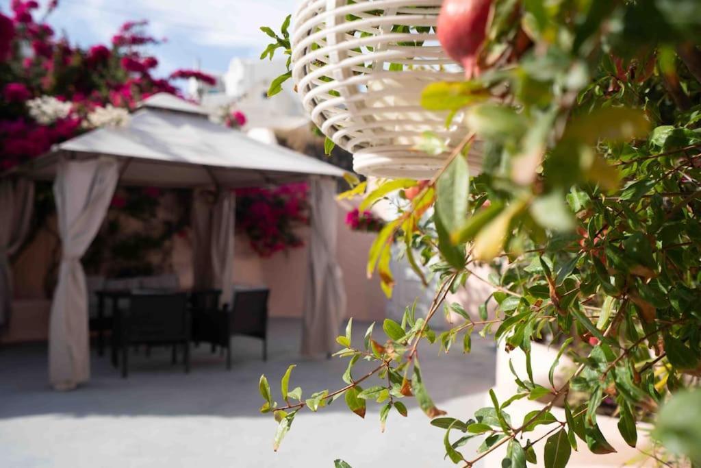 Bird Nest-Santorini Cave Houses Fira  Exterior photo